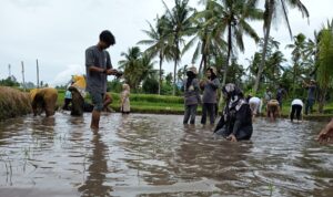 Begasap (Menangkap Ikan)